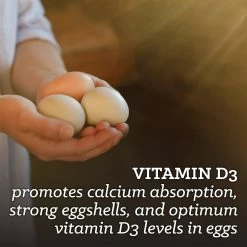 Nutrena NatureWise® Layer Feed 16% Protein Pellet Poultry Feed, 40 lb. Bag - Chicken Feed -Livestock Online Store 0199f752a47f1102a74d47069593c54389f64e1d Vitamin D3