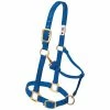 Weaver Leather Original Adjustable Nylon Horse Halter - Suckling - Blue - 35-1030-BL - Nylon Halters -Livestock Online Store 08a3b7f068cd6a24e5e729c76102212c29ff4b95 67504031 67504031 image 35 1030 bl