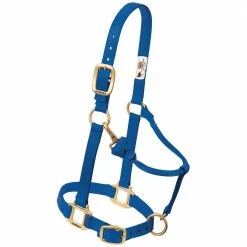 Weaver Leather Original Adjustable Nylon Horse Halter - Suckling - Blue - 35-1030-BL - Nylon Halters