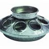 Miller Mfg. Round 1 Quart Jar Galvanized Feeder Set for Chicken - 9810 - Livestock Supplies