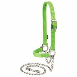 Weaver Leather Livestock Nylon Adjustable Sheep Halter with Chain Lead - Lime Zest - 35-8111-LI - Sheep Halters & Accessories
