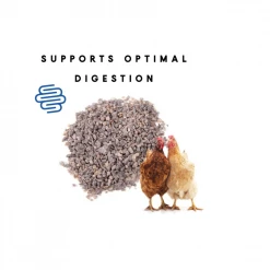 Manna Pro - Pro Poultry Grit, 25 lb. Bag - Chicken Supplies -Livestock Online Store 0aef591b67917a35805f4e0a441fe3406682fcd8 50000202 5