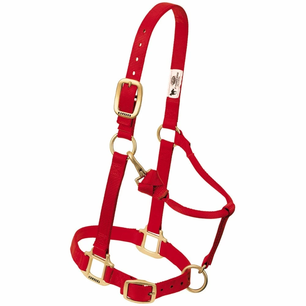 Weaver Leather Original Adjustable Nylon Horse Halter - Red - 1 Inch Small - 35-7034-RD - Nylon Halters 4 Weaver Leather Original Adjustable Nylon Horse Halter - Red - 1 Inch Small - 35-7034-RD - Nylon Halters - Image 2