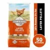 Various Brands Country Road Layer Pellet Feed, 50 lb. Bag - Chicken Feed -Livestock Online Store 0ebe546a17637f4adb5c563c72682f7588b7977d 4671179.2
