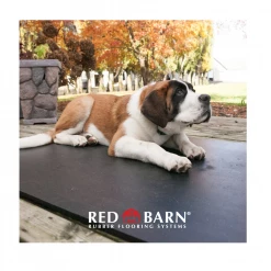 Red Barn 4' x 6' Rubber Horse Mat 3/4" Thick - HORSEMAT - Livestock Supplies -Livestock Online Store 0f201412baf04306e6cf351c0f33b063e8835a90 50500013 6