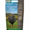 Nutrena NatureWise® Oyster Shell Poultry Feed, 7 lb. Bag - Chicken Feed -Livestock Online Store 15528fa8b70c74b758aab197b3ca051b3ad3c08d 50000652 50000652 image 500000552 naturewise oystershell 7lb 1