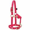 Weaver Leather Nylon Miniature Horse Adjustable Halter - Average - Diva Pink - 35-4800-DP - Nylon Halters -Livestock Online Store 1ab2806370c9eb4617c28dd9126bf4a4694056ea 675200025 675200025 image 35 4800 dp