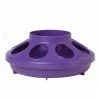 Little Giant Poultry Feeder Base, 1 Quart - 806PURPLE - Livestock Supplies -Livestock Online Store 1b5226bfe0d71f1da7801072ae11e171c833adfc 7842142.2
