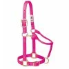 Weaver Leather Original Adjustable Nylon Horse Halter - Diva Pink - 1 Inch Small - 35-7034-DP - Nylon Halters -Livestock Online Store 1f2108e89815440ec064e0ad127088a88c9011a8 675200005 675200005 image 35 7034 dp