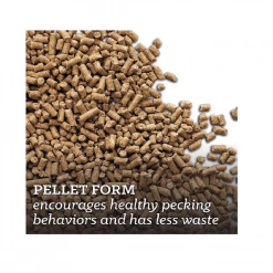 Nutrena NatureWise® Feather Fixer™ 18% Protein Pellet, 40 lb. Bag - Chicken Feed -Livestock Online Store 2457dddeb964d7565f83773ca03803af8b3da9a8 4671668 3
