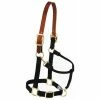 Weaver Leather Nylon Adjustable Breakaway Horse Halter - Large - Black - 35-6026-BK - Nylon Halters 2 Weaver Leather Nylon Adjustable Breakaway Horse Halter - Large - Black - 35-6026-BK - Nylon Halters -Livestock Online Store 25a6f5e0c786463e1aa7c5c251235a2b0f81a954 675199999 675199999 image 35 6026 bk