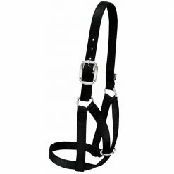 Weaver Leather Livestock Barn Cow Halter - Black - 1 Inch Small - 35-8003-BK - Cow Halters, Leads, & Barn Supplies