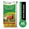 Midwest Agri Beet Pulp Shreds with Molasses, 40 lb. Bag - Forage 1 Midwest Agri Beet Pulp Shreds with Molasses, 40 lb. Bag - Forage -Livestock Online Store 266834d814d96cb26697fa13b8c3943e50b3eaf9 60660024