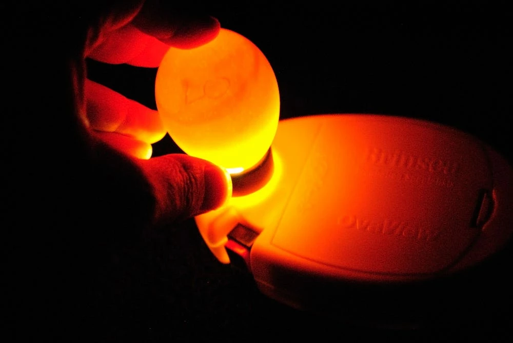 Brinsea OvaView High Intensity Egg Candler USF190 - Livestock Supplies 6 Brinsea OvaView High Intensity Egg Candler USF190 - Livestock Supplies - Image 4