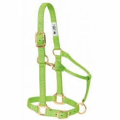 Weaver Leather Original Adjustable Nylon Horse Halter - Suckling - Lime Zest - 35-1030-LI - Nylon Halters