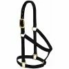 Weaver Leather Basic Non - Adjustable Nylon Halter - Black - 1 Inch Average Horse - 35-7405-BK - Nylon Halters -Livestock Online Store 2b19d353e045c5f732b914693a9f39c05375fd83 67504170 67504170 image 35 7405 bk