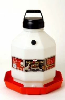 Little Giant Plastic Poultry Chicken Waterer, 5 Gallon - PPF5 - Chicken Waterers
