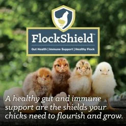 Nutrena NatureWise® Chick Starter Grower 18% Protein Crumble, 7 lb. Bag - Chicken Feed 13 Nutrena NatureWise® Chick Starter Grower 18% Protein Crumble, 7 lb. Bag - Chicken Feed -Livestock Online Store 2f687a1d9efe47888c51c825a1ca0485a82782bf CSG Flockshield