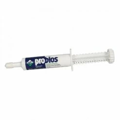 Vets Plus Probios Equine One Gel 30 gm - 003861 - Livestock Health