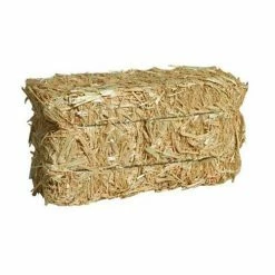 Various Brands Large Straw Bale, 30 lb. - Forage