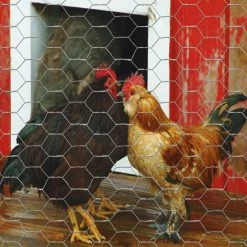 Garden Craft 60" x 150' Chicken Wire with 1" Openings - 166015 - Fence and Wire 10 Garden Craft 60" x 150' Chicken Wire with 1" Openings - 166015 - Fence and Wire -Livestock Online Store 3817944089a92cb7a252340dd9c853065e13bbc4 166015 3