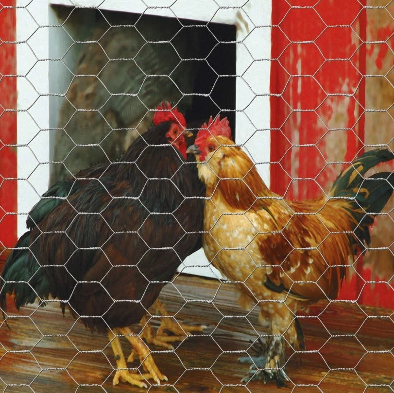 Garden Craft 60" x 150' Chicken Wire with 1" Openings - 166015 - Fence and Wire 6 Garden Craft 60" x 150' Chicken Wire with 1" Openings - 166015 - Fence and Wire - Image 4