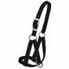 Weaver Leather Livestock Llama Halter - Black - 3/4 Inch Medium/Large - 35-7086-BK - Cow Halters, Leads, & Barn Supplies -Livestock Online Store 39cf2e7faf72a3c2c76225fc5138f783f6771feb 67517879 67517879 image 35 7086 bk