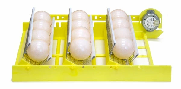 GQF Manufacturing Automatic Egg Turner w/ 3 Goose Egg Racks 1614 - Livestock Supplies 4 GQF Manufacturing Automatic Egg Turner w/ 3 Goose Egg Racks 1614 - Livestock Supplies - Image 2