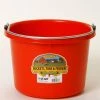 Various Brands Miller Mfg. Little Giant Plastic Bucket, 8 Quart - P8RED - Livestock Supplies -Livestock Online Store 3a9ea9f78d5752dc6a99283a443487c7b1686bf6 3220117 3220117 image 3220117
