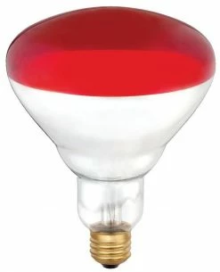 Various Brands Brooder 125 Watt Red Faced Heat Lamp Bulb - 10001329 - Livestock Supplies -Livestock Online Store 3baf568ce4ca51331ee866be45c96dbdb14f506b 03853