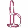 Weaver Leather Original Adjustable Nylon Halter with Chrome Plated Hardware - Medium - Blush - 35-7375-BH - Nylon Halters -Livestock Online Store 3de47f87fcbe92c2e70b3a09dd80d3497fec3508 675200009 675200009 image 35 7375 bh