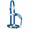 Weaver Leather Original Adjustable Nylon Halter with Chrome Plated Hardware - Medium - Blue - 35-7375-BL - Nylon Halters 2 Weaver Leather Original Adjustable Nylon Halter with Chrome Plated Hardware - Medium - Blue - 35-7375-BL - Nylon Halters -Livestock Online Store 41a2eee6cae483b0de06342bbe6cc2cbc1a3b48d 675200010 675200010 image 35 7375 bl