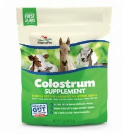 MannaPro Manna Pro Colostrum Supplement, 1lb. Bag - 1000330 - Livestock Health