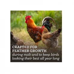 Nutrena NatureWise® Feather Fixer™ 18% Protein Pellet, 40 lb. Bag - Chicken Feed -Livestock Online Store 4c756f914962102b55d4c64ee6271bc76c97bb20 4671668 4