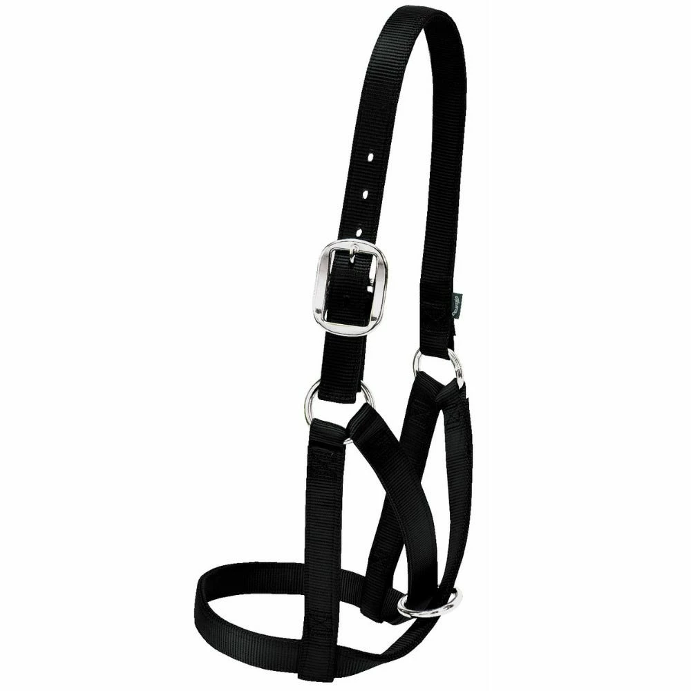Weaver Leather Livestock Barn Cow Halter - Black - 1 Inch Medium - 35-8004-BK - Cow Halters, Leads, & Barn Supplies 3 Weaver Leather Livestock Barn Cow Halter - Black - 1 Inch Medium - 35-8004-BK - Cow Halters, Leads, & Barn Supplies