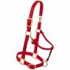 Weaver Leather Original Adjustable Nylon Horse Halter - Red - 1 Inch Average - 35-7035-RD - Nylon Halters -Livestock Online Store 51e470a698cb00e29628e5f186c230b3f7bc0a24 67504345 67504345 image 35 7035 rd