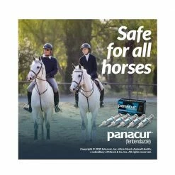 Merck Panacur® PowerPac Horse Dewormer, 57 gm - 017754 - Dewormers -Livestock Online Store 5347dbac7bc02d490163b157b32f86cd465e5444 362655 4