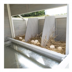 Country Road Barn Ranch Chicken Coop PVC Roof - SHW1099040AW - Chicken Coops -Livestock Online Store 553622345ececaeaa5d79ce65b090d5fc977e0f3 41220018 9