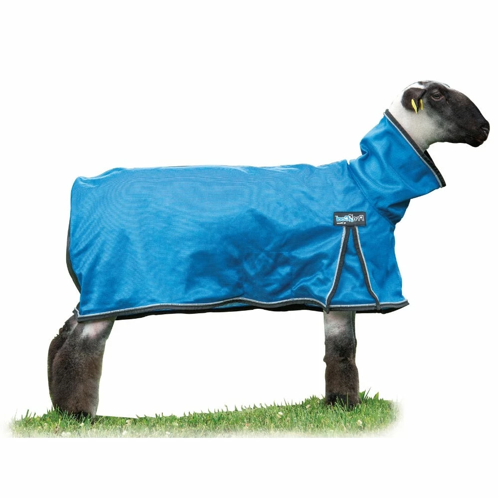 Weaver Leather Livestock ProCool Sheep Blanket with Reflective Piping - Medium - Blue - 35-3522-B6 - Sheep Blankets & Tubes 3 Weaver Leather Livestock ProCool Sheep Blanket with Reflective Piping - Medium - Blue - 35-3522-B6 - Sheep Blankets & Tubes