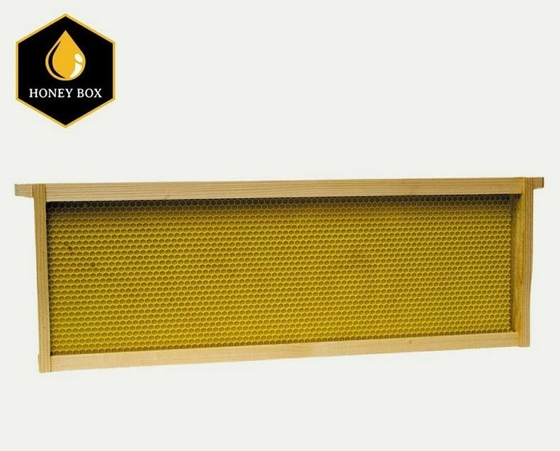 Harvest Lane Honey Assembled Frame and Foundation For Medium Honey Super - WWFFM-102 - Hive Boxes & Parts - Image 2