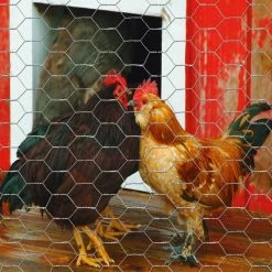 Garden Craft 24" x 25' Chicken Wire with 1" Openings - 162425 - Fence and Wire 10 Garden Craft 24" x 25' Chicken Wire with 1" Openings - 162425 - Fence and Wire -Livestock Online Store 588e519539dec4e7b2b80d67ad8217566423be9b 99490168 3