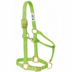 Weaver Leather Original Adjustable Nylon Horse Halter - Lime Zest - 1 Inch Average - 35-7035-LI - Nylon Halters