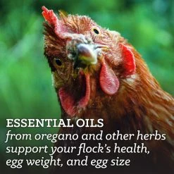 Nutrena NatureWise® Layer Feed 16% Protein Pellet Poultry Feed, 40 lb. Bag - Chicken Feed -Livestock Online Store 5c9904066a5ab65006b26892002863e33860d6fd Essential Oils