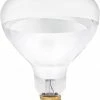 Various Brands Brooder 250 Watt Heat Lamp Bulb Clear - Livestock Supplies -Livestock Online Store 5cefb2341d96df90e113ece433a7540c36ec393f 62000022