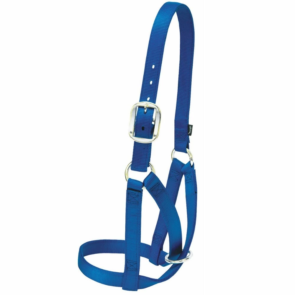 Weaver Leather Livestock Barn Cow Halter - Blue - 1 Inch Small - 35-8003-BL - Cow Halters, Leads, & Barn Supplies 3 Weaver Leather Livestock Barn Cow Halter - Blue - 1 Inch Small - 35-8003-BL - Cow Halters, Leads, & Barn Supplies