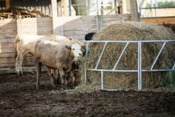 Tarter 3 Piece Valu-Line Bale Feeder, Galvanized - GVLRBF - Cattle Feeders 7 Tarter 3 Piece Valu-Line Bale Feeder, Galvanized - GVLRBF - Cattle Feeders -Livestock Online Store 6056c317c6e19c55bbc6e1afd32ac0556b4d72c6 GVLRBF ValulineCattleBaleFeeder Galvanized L 23