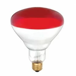 Various Brands Brooder 250 Watt Red Faced Heat Lamp Bulb - 10001325 - Livestock Supplies