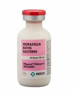 Merck Piliguard Pinkeye-1 Trivalent, 10 ds - 000414 - Livestock Health
