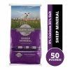 Country Road Sheep Mineral Sheep Feed, 50 lb. Bag 2 Country Road Sheep Mineral Sheep Feed, 50 lb. Bag -Livestock Online Store 6296652ac0dd0ff7bbfa9ee510007a23149f5fb2 4671130.2