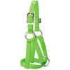 Weaver Leather Livestock Goat Halter - Lime Zest - 3/4 Inch Small - 35-8150-LI - Goat Halters & Accessories 2 Weaver Leather Livestock Goat Halter - Lime Zest - 3/4 Inch Small - 35-8150-LI - Goat Halters & Accessories -Livestock Online Store 6688d3a945c1273dee0c5bc7329a37f61d803c6d 67531104 67531104 image 35 8150 li